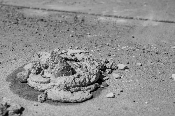 Cost of Driveway Slab Raising in Charleston